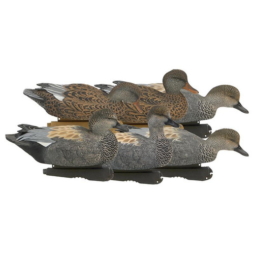 PRO GRADE GADWALLS 1/2 DOZEN - 700905731459