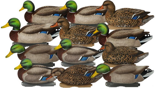 PRO GRADE XD SERIES MALLARDS HARVESTER 12-PACK - 700905761173