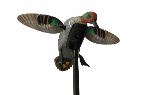 Mojo Outdoors Elite Series Green Winged Teal Duck Species Natural Molded Plastic Features Remote Compatible - 816740003962