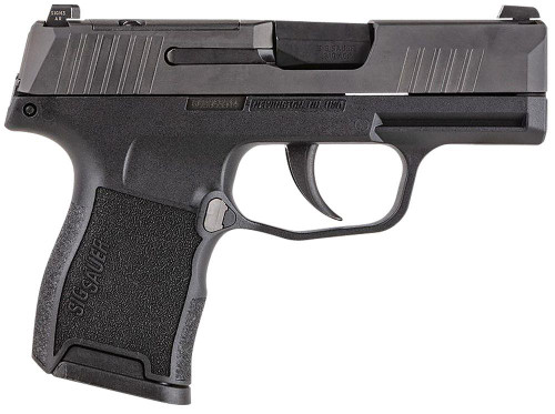 Sig Sauer 365-380-BSS-MS P365  380 ACP 3.10" 10+1 Stainless Steel Frame Black Nitron Stainless Steel Slide with Optics Cut Black Polymer Grip Night Sights Includes 2 Mags - 798681640164