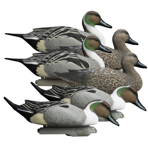 Higdon Battleship Pintail 6pk - 710617165343