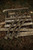 Benelli SBE3 12GA/26" Rob Roberts Mossy Oak Original Bottomland/ Moss - 400100002529