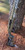 Benelli SBE3 12GA/26" Rob Roberts Mossy Oak Original Bottomland/ Moss - 400100002529