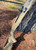 Benelli SBE3 12GA/26" Rob Roberts Old School/Tan - 400100002616