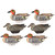 Heyday Green-Winged Teal Hydrofoam 6pk - 858706004729