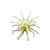 Game Reaper Baits - Oscar 2.75 3PK - 810037219241