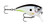 Rapala BX Mid Brat 5' - 022677327952