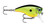 Rapala BX Mid Brat 5' - 022677327952