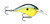 Rapala Dt Series 6' - 022677133966