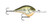 Rapala Dt Series 10' - 022677259697