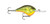 Rapala Dt Series 16' - 022677208701