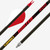 Gold Tip Hunter 340 Spine  2" Raptor Fletching - HUN340A272