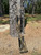 Rob Roberts Benelli SBE3 20GA 26" Custom Marsh Cerakote - 400100001887