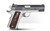 Springfield Armory PX9118L 1911 Ronin 45 ACP 4.25" 8+1 Satin Aluminum Cerakote Frame Blued Carbon Steel with Rear Serrations Slide Crossed Cannon Wood Laminate Grip - 706397929633