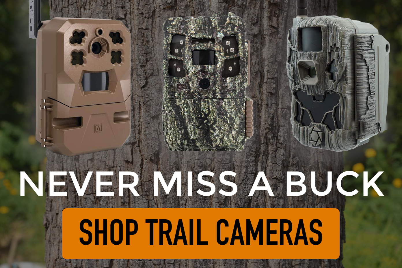Shop Trail Cameras