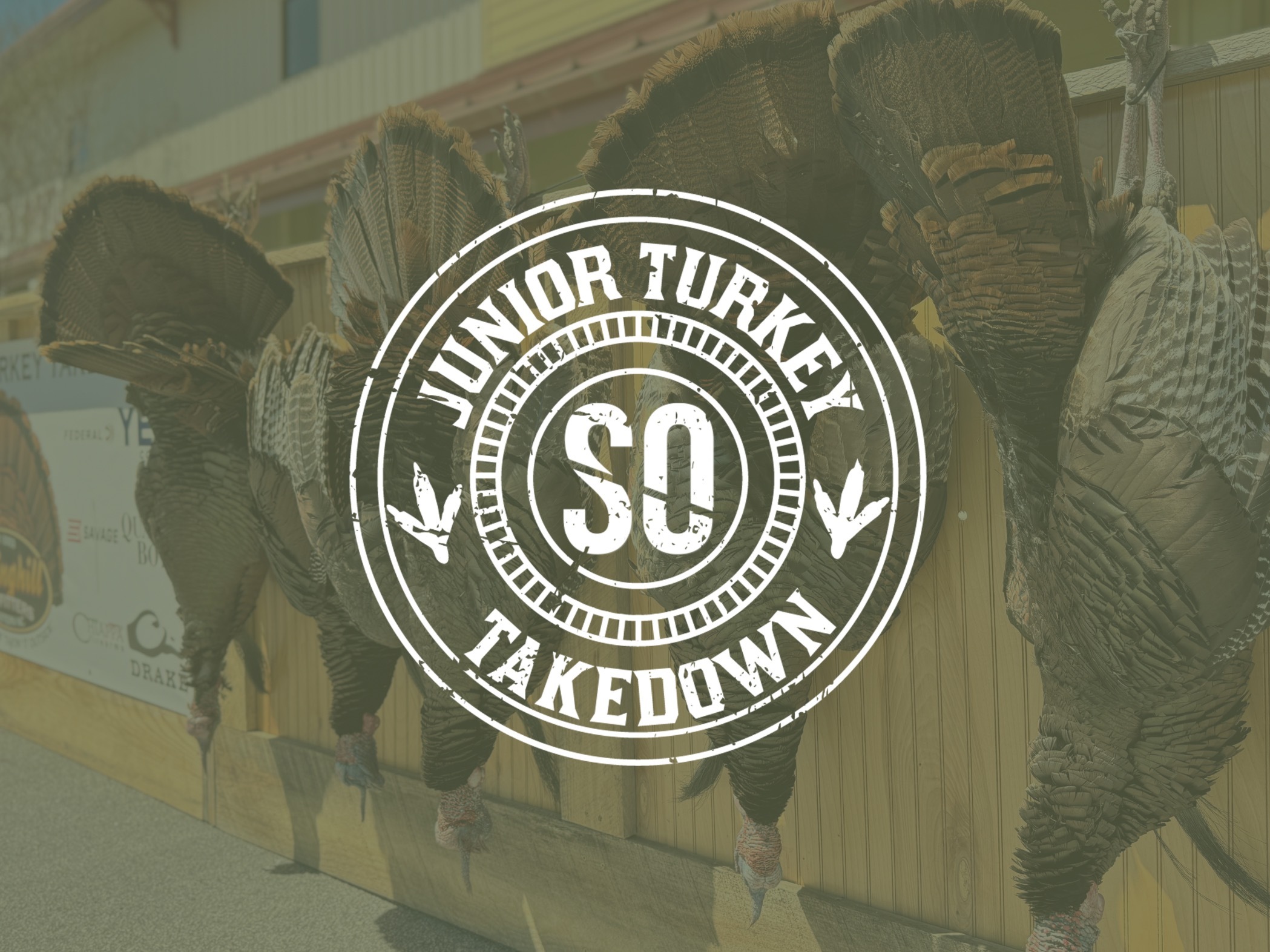 img-7532-1-.jpeg img-7532-1-.jpeg