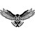 Geometric Eagle Sign