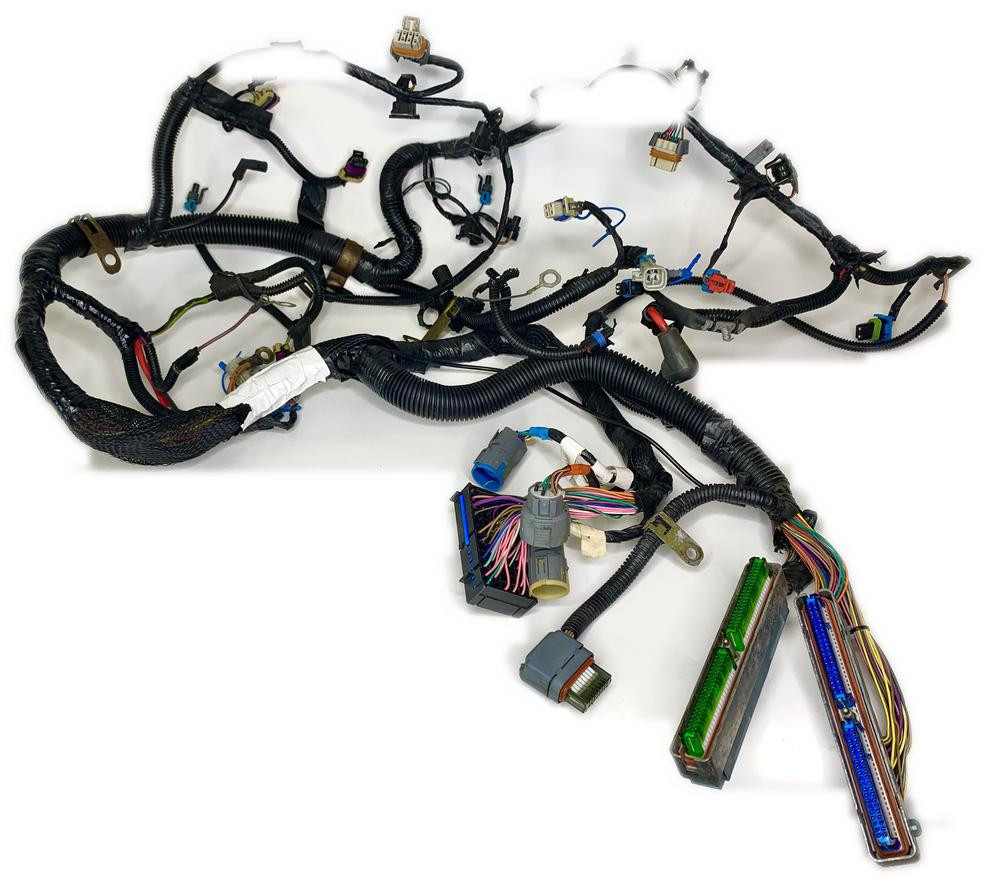 2004 - 2004 C5 Corvette Engine Wiring Harness OEM 10339503