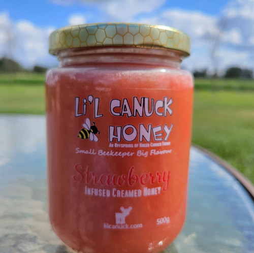 Strawberry Honey from hives in Parkland County just outside of Edmonton, Alberta. 