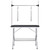 Dog Grooming Table Black Stainless Steel Medium Foldable A949-171069
