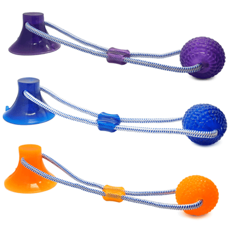 ETHICAL SPOT Bam Bone Wish Bone Bacon 7 inch N274-KW01E54315