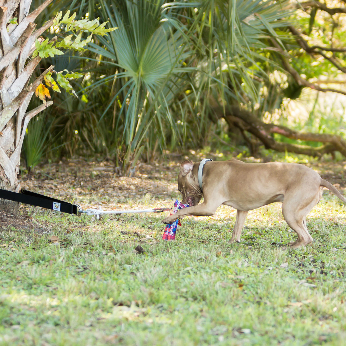 Super tug dog toy Clearance
