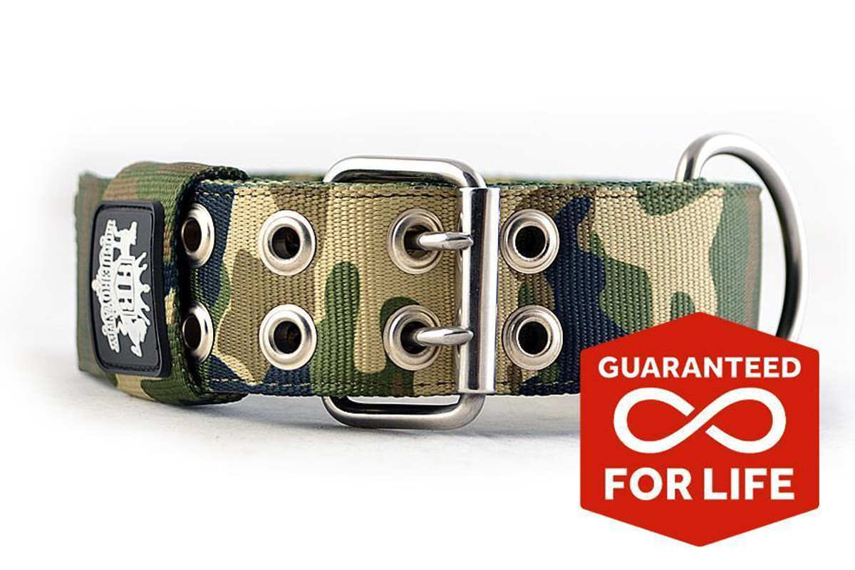 heavy duty dog collars