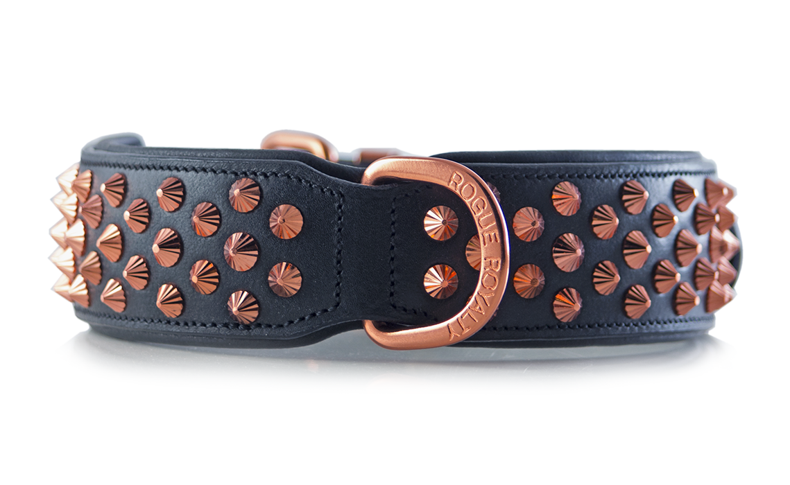gold bully collars
