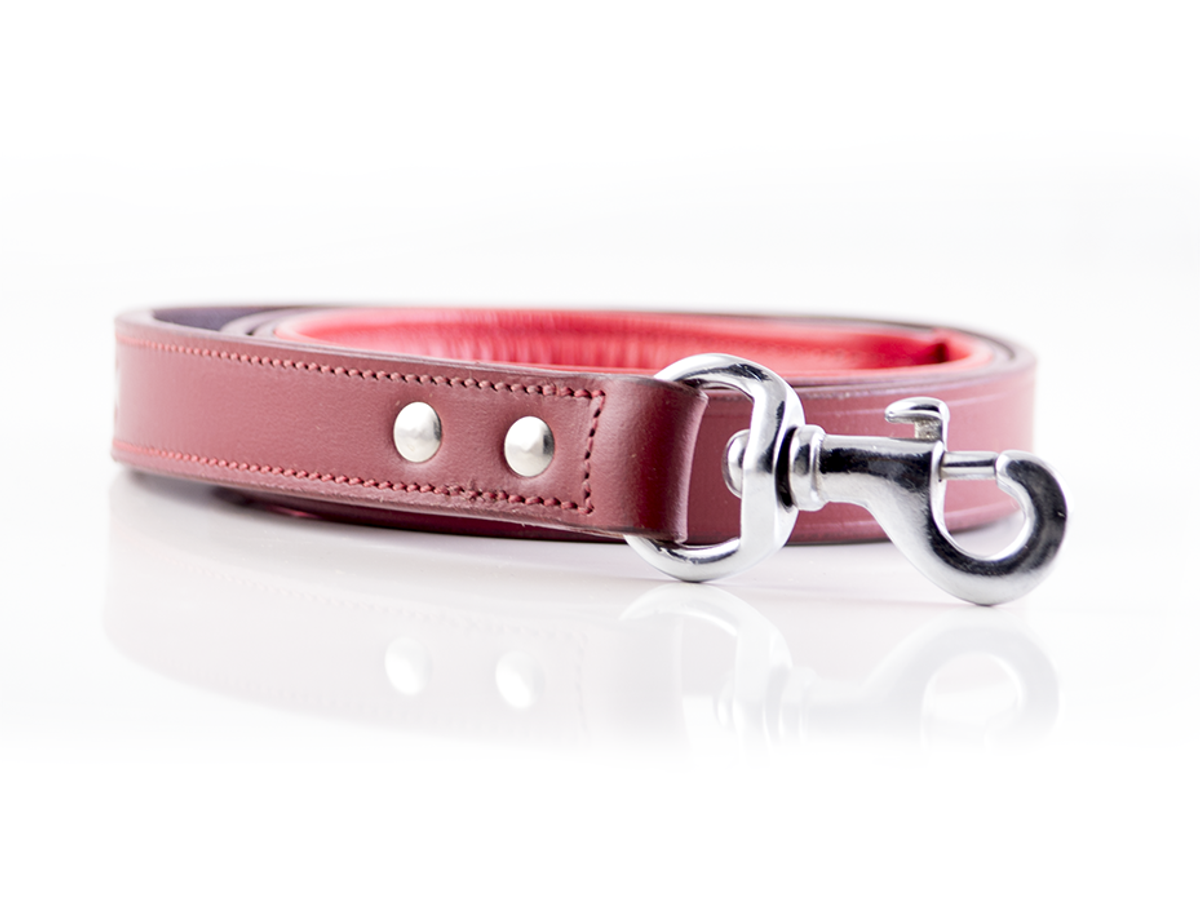 red leather dog leash