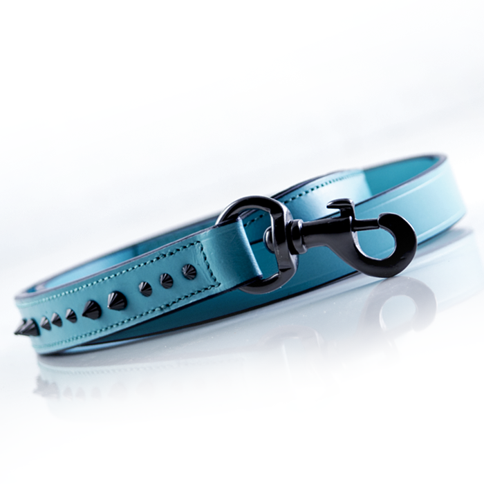 teal puppy collar