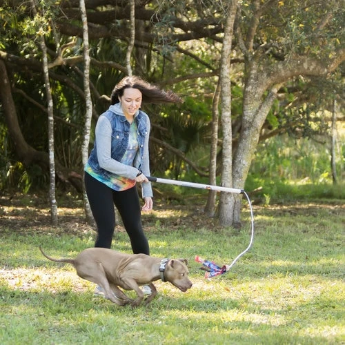 Flirt Pole (106cm) - Interactive Exercise Dog Toy