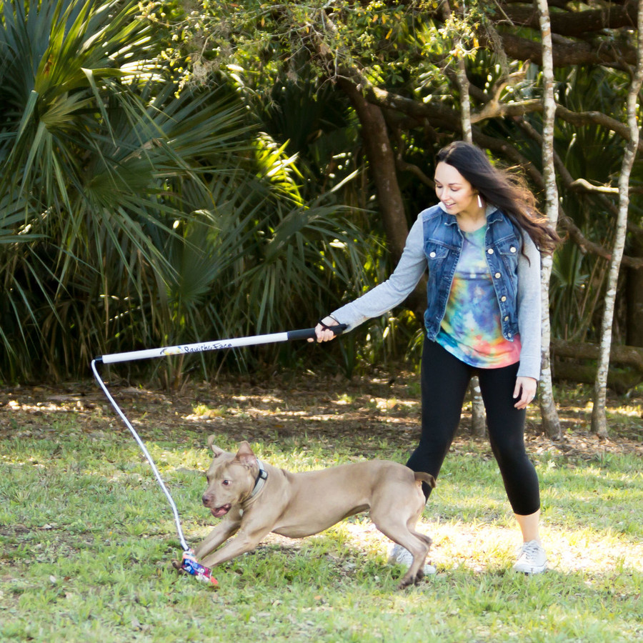 Flirt Pole (106cm) - Interactive Exercise Dog Toy