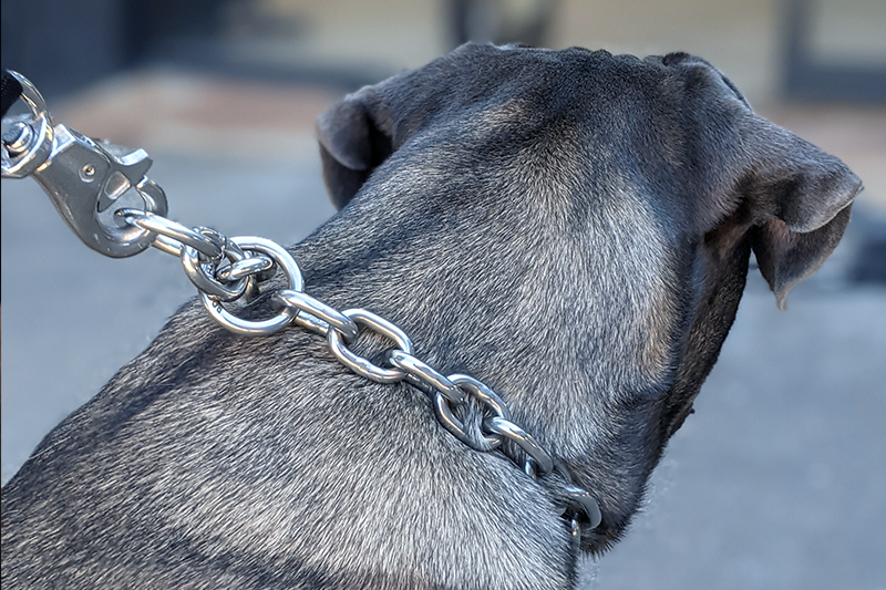 Titan - Heavy Duty Check Chain