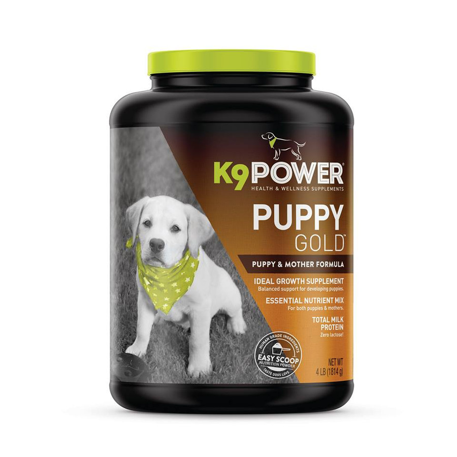 K9 Puppy Gold 