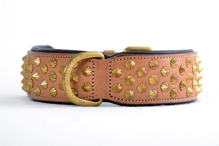  Ruthless Collar - Tan & Brass 
