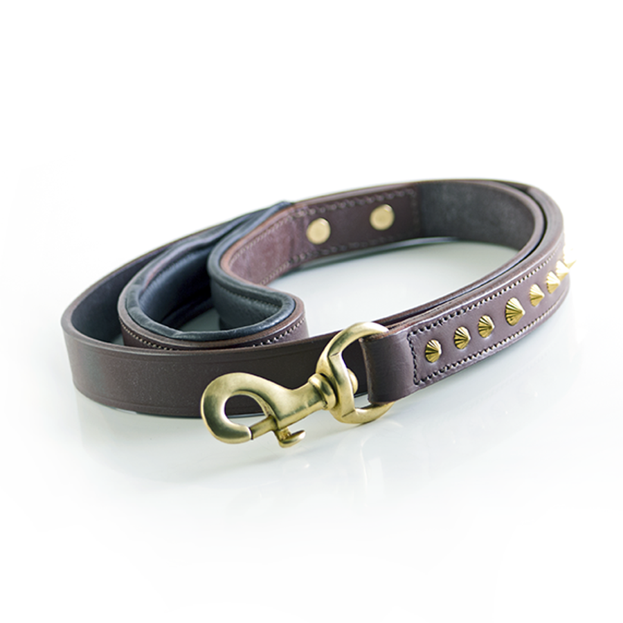 Ruthless Leash - Brown & Brass 