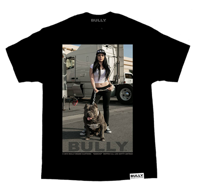 BULLY - Sancho Men's Tee