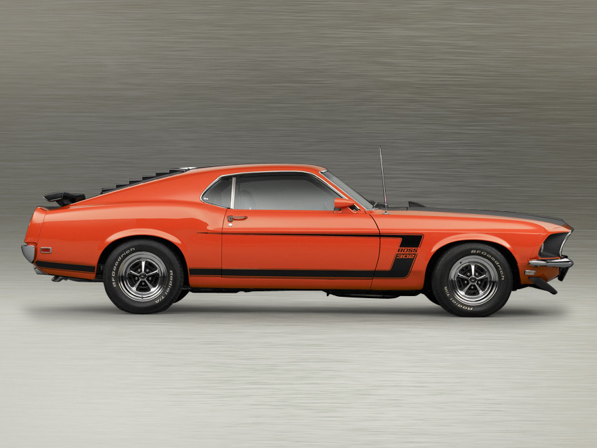 1969 Boss 302 Side Strip Kit