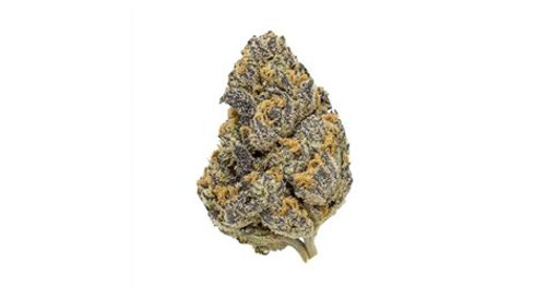 RS - 11 THCa RS - 11 THCa