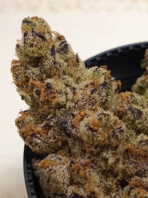 MULE FUEL THCa MULE FUEL THCa