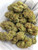 GRAPES N CREAM