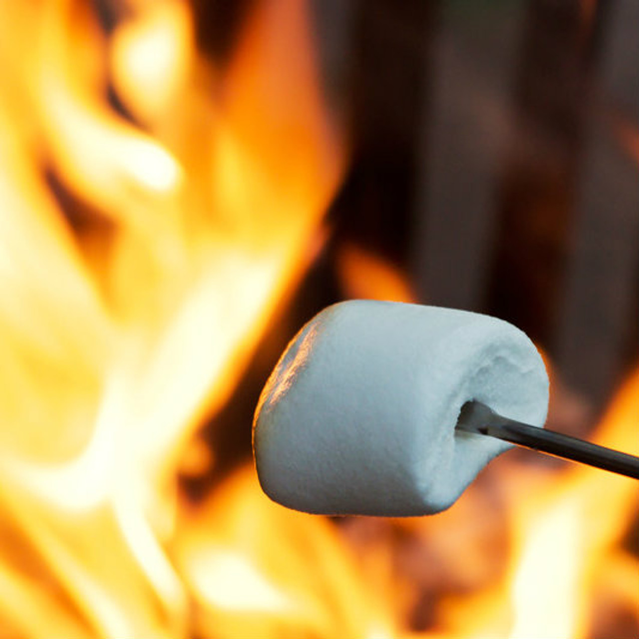 Marshmallow Fireside Fragrance for Soap and Candle Making New York Scent