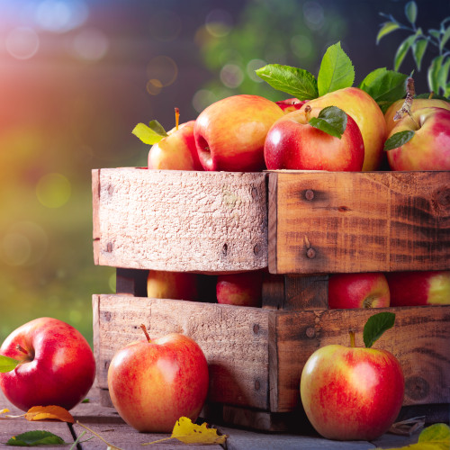 Apple Harvest fragrance oil for soap and candle making from New York Scent
