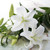 Casablanca Lily fragrance oil for making soap, lotion, wax melts, candles and more from New York Scent