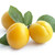 Mirabelle Plum fragrance oil for soap and candle making from New York Scent