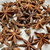 Star Anise available from New York Scent