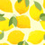 Sunshine & Lemons Fragrance Oil for Soap and Candle Making from New York Scent