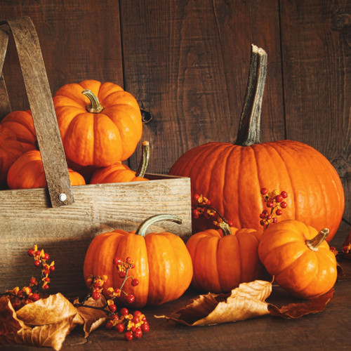 Pumpkin Cake & Lemon Glaze Fragrance Oil for Soap and Candle