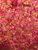 Pink Explosion