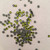 Olivine